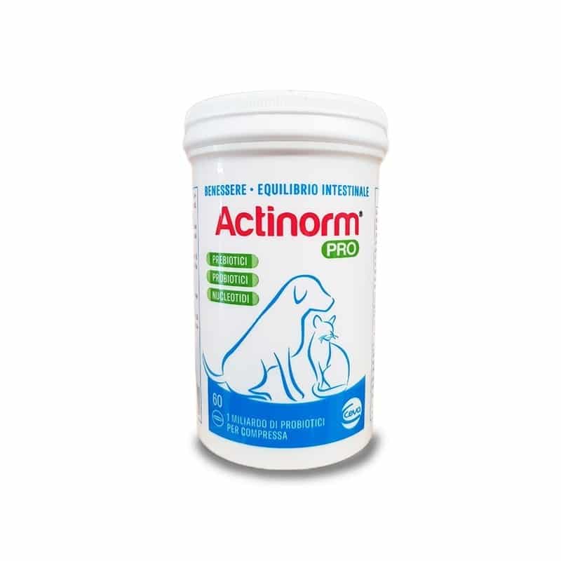ACTINORM PRO (60 cpr) – Supporto in compresse per l’equilibrio intestinale di cani e gatti