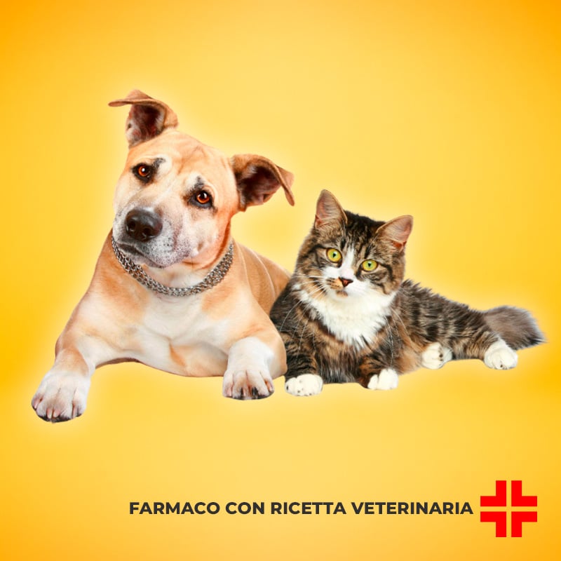 ANTIROBE 300 MG (16 cps) – Antibiotico in capsule per il trattamento delle infezioni batteriche nei cani e gatti