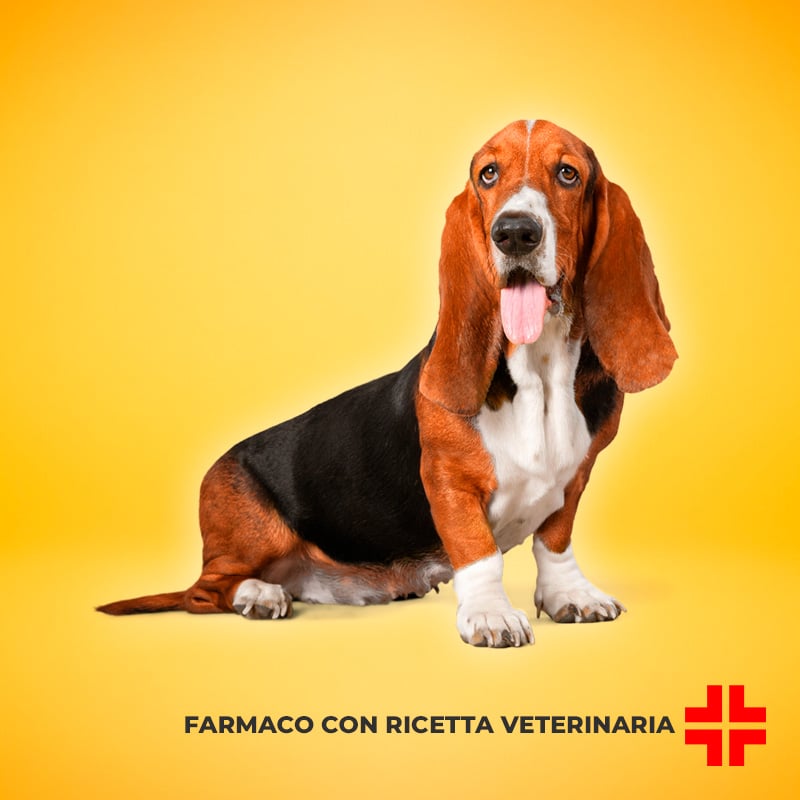 RIMADYL FL 50 MG/ML (20 ml) – Soluzione iniettabile per il controllo efficace del dolore e dell’infiammazione post-operatoria
